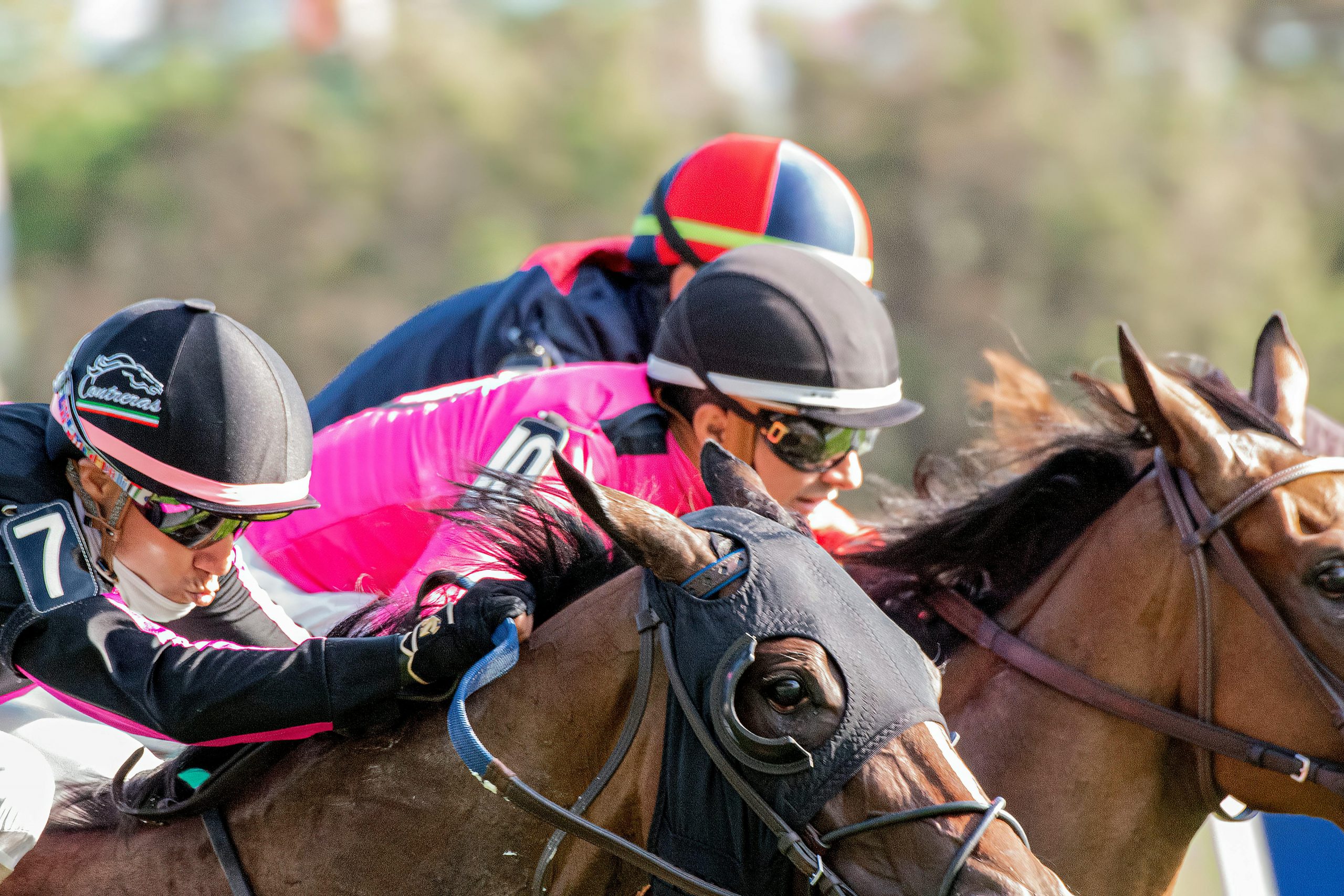 Horse racing at Cheltenham