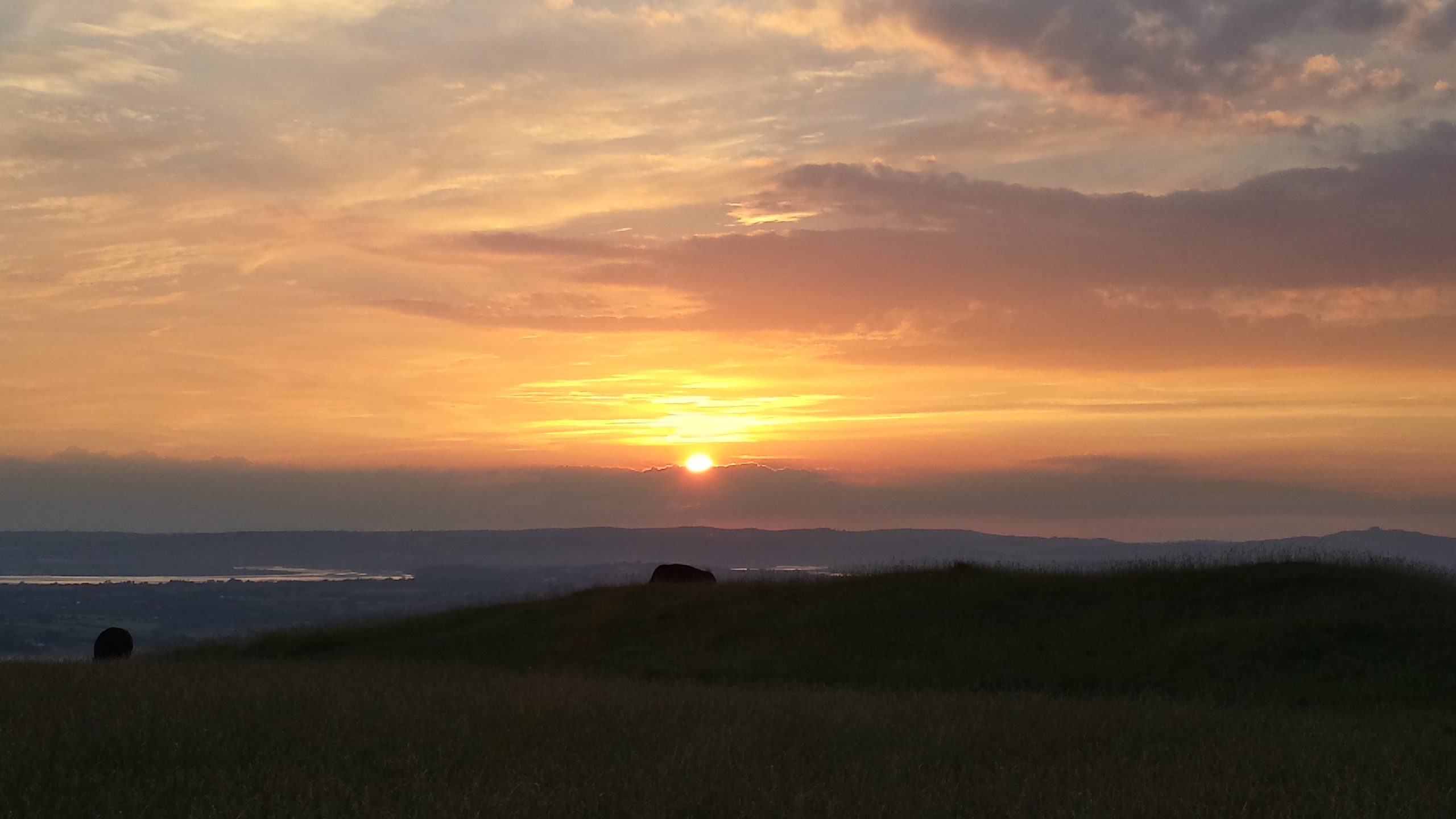 Sunset on Selsley Common